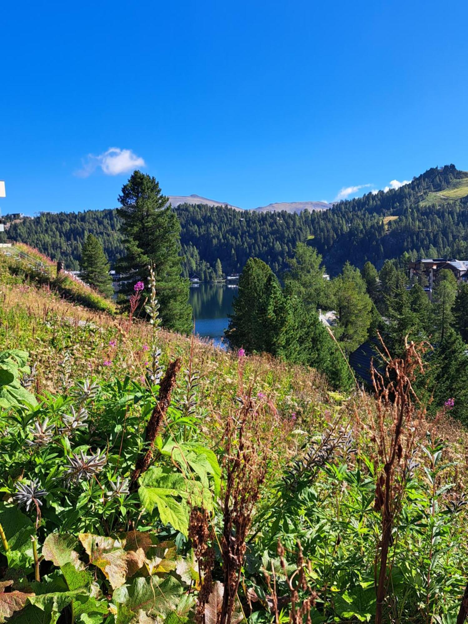 Schwabenhuette Villa Sirnitz-Sonnseite Dış mekan fotoğraf